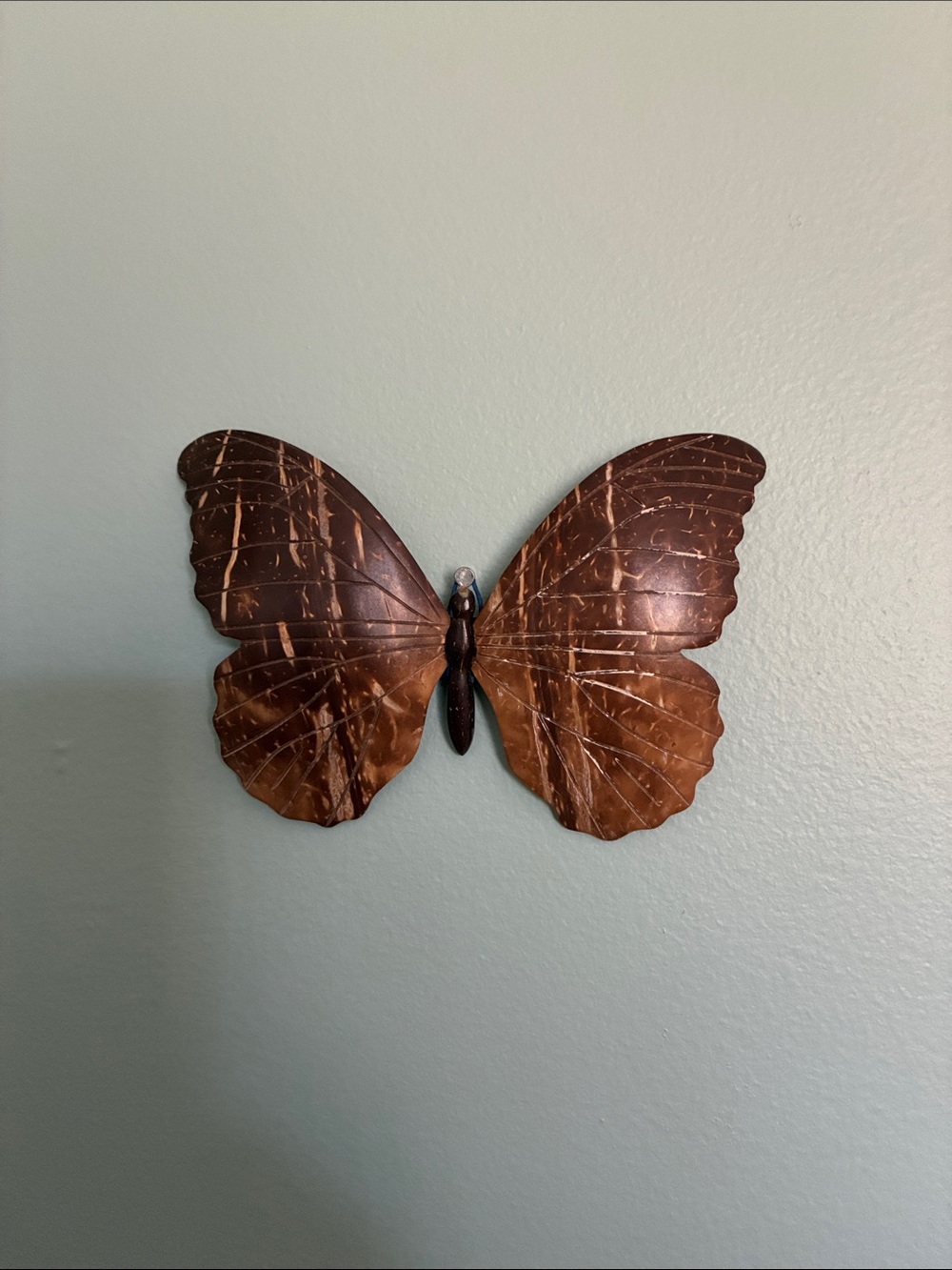 Decorative Brown Butterfly Wall Accent